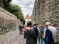 Tallinn Medieval Town Walls