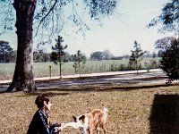 December 1968 "My dog + I fighting over a scarf."  Taken in the Front Yard.