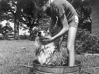 Susan giving Princess a bath